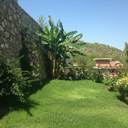 Villa Penny Akkaya (Aegean)